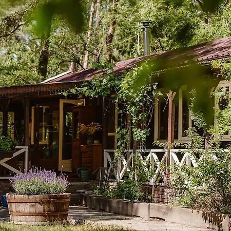Forest Cottage With Lovely Garden & Sauna Doornspijk Екстер'єр фото