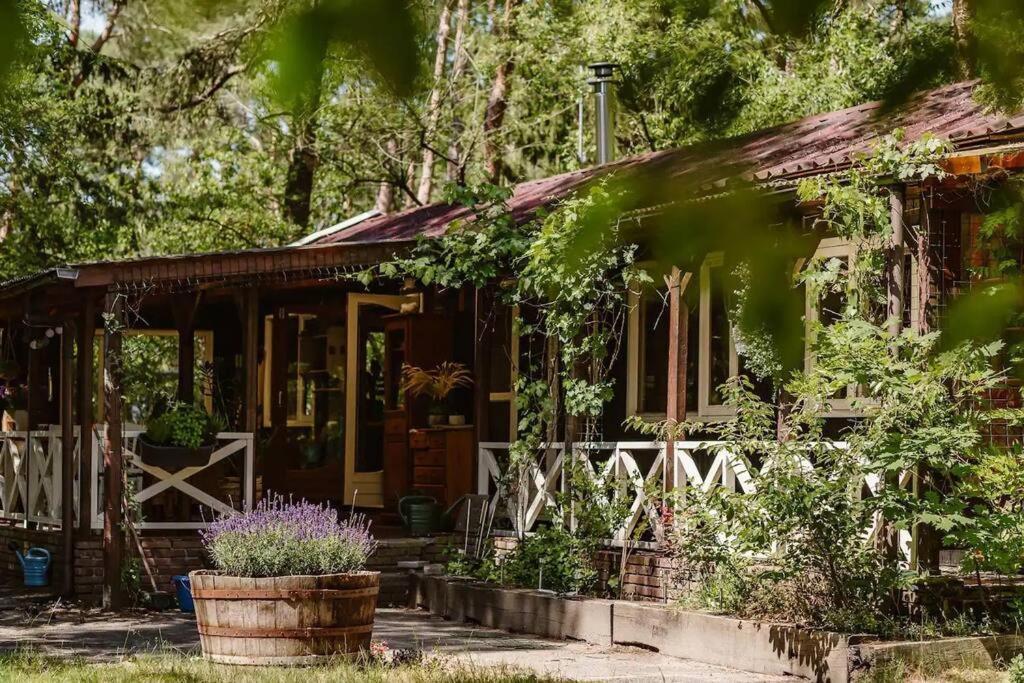 Forest Cottage With Lovely Garden & Sauna Doornspijk Екстер'єр фото