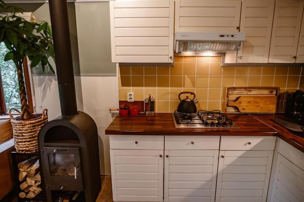 Forest Cottage With Lovely Garden & Sauna Doornspijk Екстер'єр фото